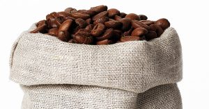 Are Coffee Beans Seeds?