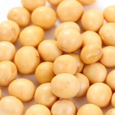 Is Soy a Bean?