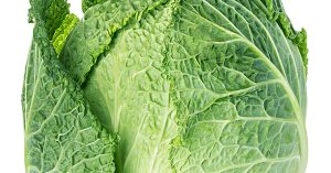 Is Cabbage Lettuce?