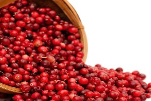 Are Cranberries Actually Berries?