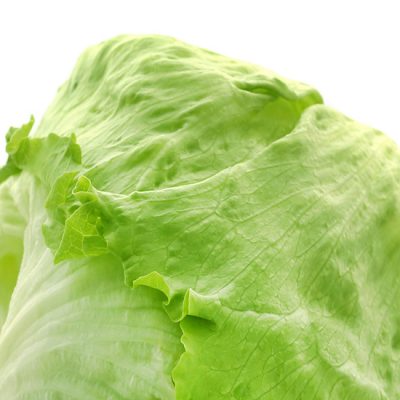 Is Iceberg Lettuce Head Lettuce?